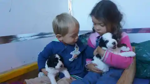 Zwei kleine Kinder halten je einen schwarz-weissen Welpen im Arm und schauen ihn an.