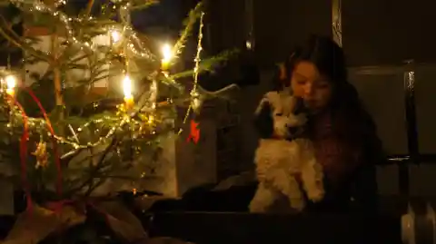 Ein Mädchen hält im Halbdunkel einen hellen, gelockten Welpen im Arm, daneben ein Weihnachtsbaum mit brennenden Kerzen.