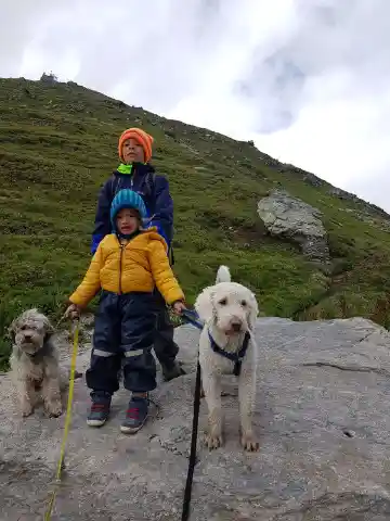 Zwei Kinder in Regenkleidung und Mützen stehen auf einem Felsen an einem grasbewachsenen Berghang, links ein kleiner grauer langhaariger Hund, rechts ein weisser, lockiger Hund mit blauem Geschirr.