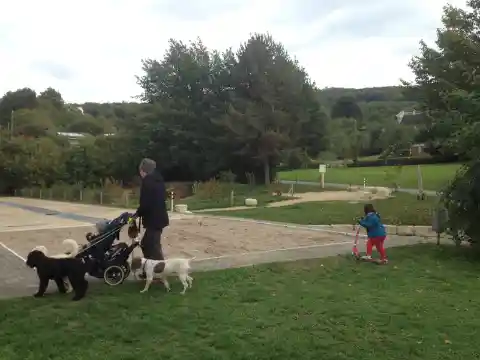 Eine Person schiebt einen Kinderwagen auf einem Parkweg, begleitet von drei Hunden, daneben fährt ein Kind Trottinett.