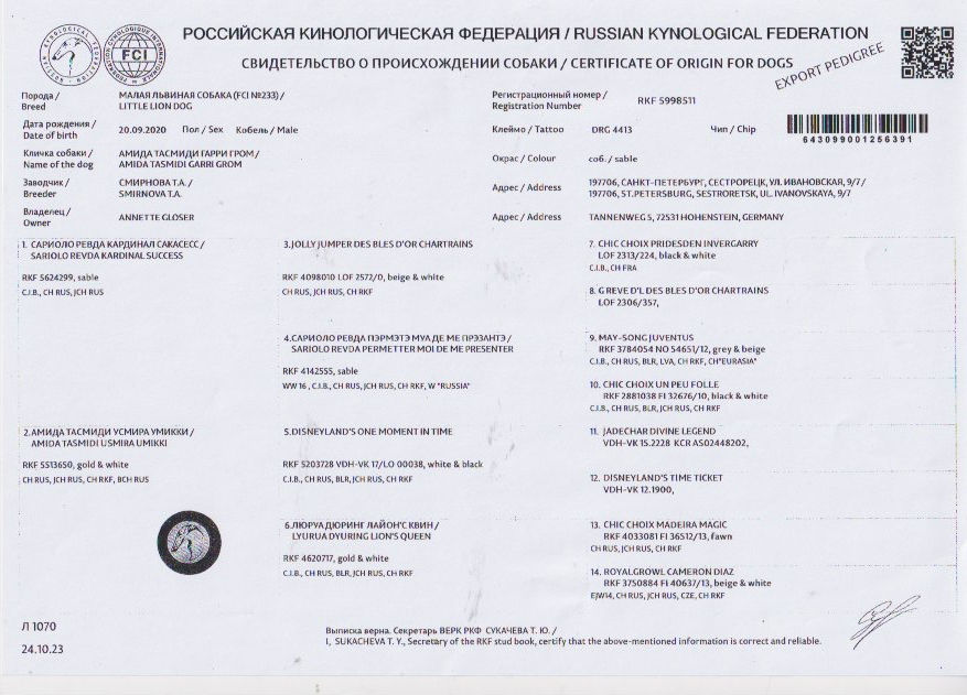 Abstammungsurkunde der Russischen Kynologischen Föderation für Amida Tasmidi Garri Grom, Malaja Lwinaja Sobaka beziehungsweise Little Lion Dog, geboren am 20.09.2020, Farbe sable, mit Ahnentafel über drei Generationen.